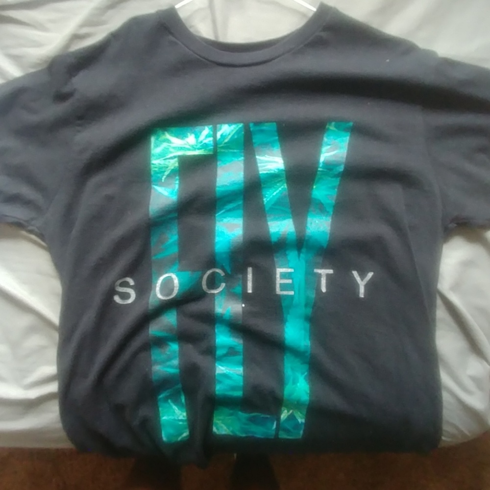 A Fly Society